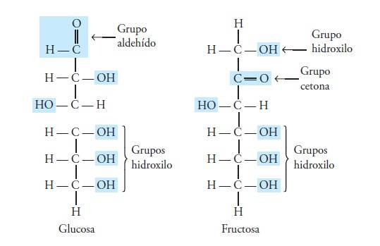 Estructura De Los Carbohidratos Curso Para La Unam 8839