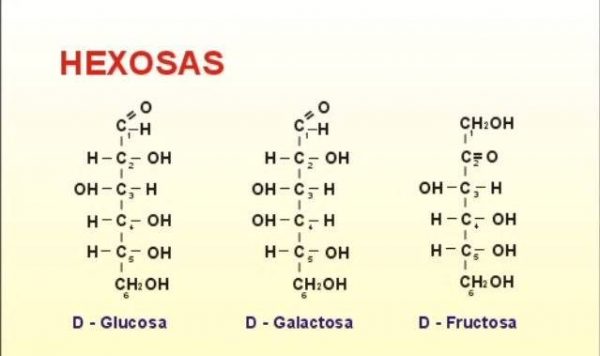 Estructura De Los Carbohidratos Curso Para La Unam 4244