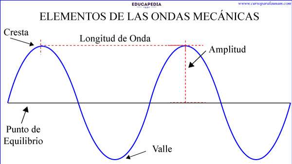 Conoce Las Mecánicas De Las Ondas Y Domina Su Funcionamiento 5050