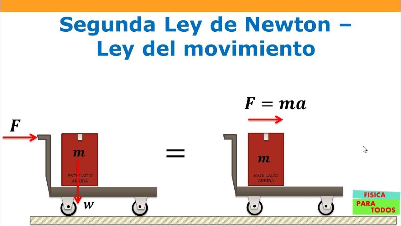 SEGUNDA LEY DE NEWTON - Curso En Linea Para El Examen De La UNAM