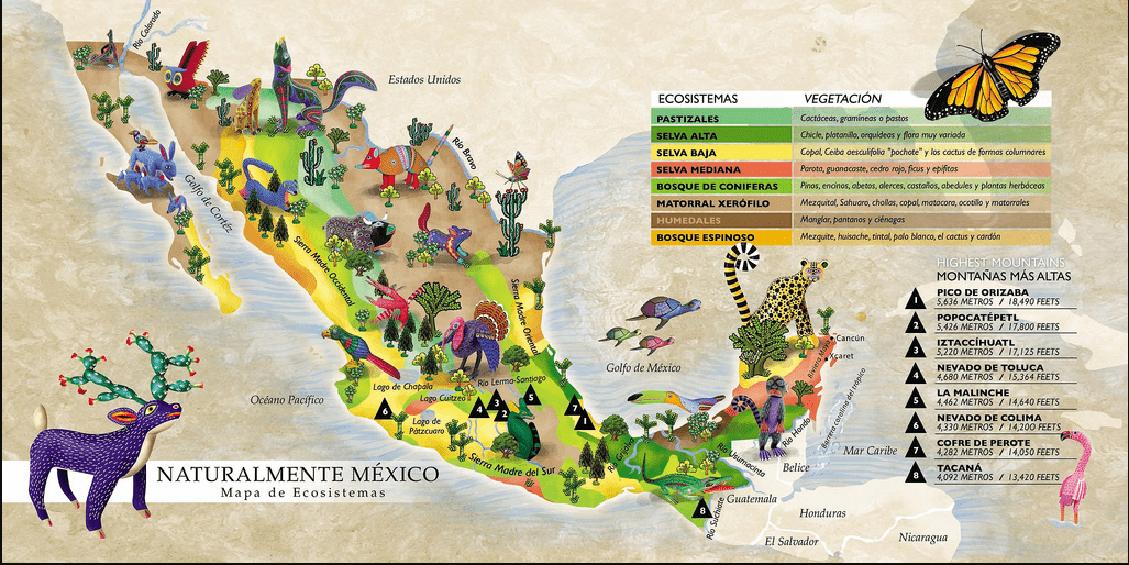 DistribuciÓn De Las Regiones Naturales En El Mundo Y En MÉxico Curso